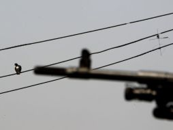 Estados Unidos considera a las FARC un grupo terrorista. EFE  /