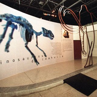 Llegan 'Saurios terribles' a Guadalajara