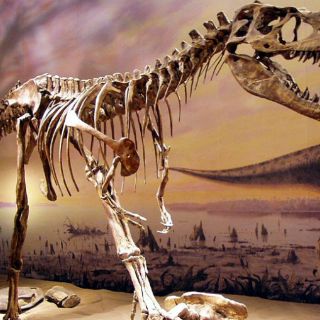 Dinosaurios para soñar y aprender