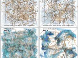 Estructuras turbulentas del campo magnético de cuatro modelos numéricos. ESPECIAL  /
