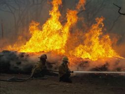 Bomberos tratan de controlar un incendio forestal en Dallas. AP  /