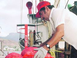 Las exportaciones totales aumentaron casi 20% más que el mes de julio. ARCHIVO  /