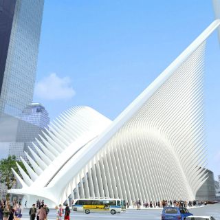 De las cenizas a la arquitectura de autor