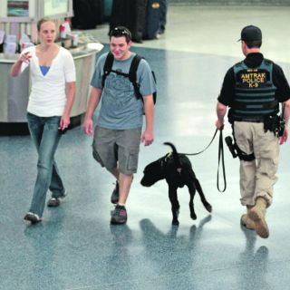 La amenaza terrorista a EU no está corroborada