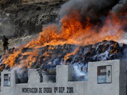 Los resultados obtenidos se dieron gracias a la coordinación de diversos organismos. NTX  /