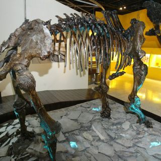 El mamut de Jalisco ya tiene compañía