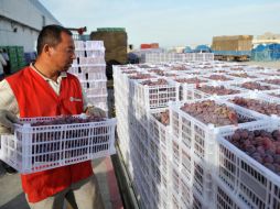 China es el principal socio comercial de Brasil. NTX  /