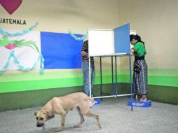 Un perro pasa mientras dos personas emiten su voto durante las elecciones generales en San Lucas Tolimán, Guatemala. AP  /
