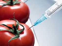 La biotecnología es una ciencia que utiliza organismos vivos para desarrollar o modificar productos alimenticios. ESPECIAL  /