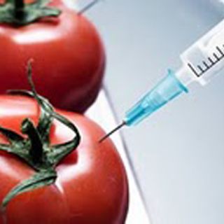 Analizarán impactos de la biotecnología en alimentos