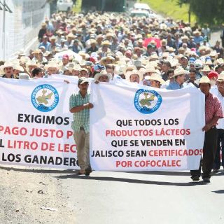 Manifestación de ganaderos en busca de aumento al precio de la leche