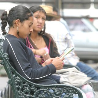 Pretenden establecer Record Guinness de lectura en Jalisco