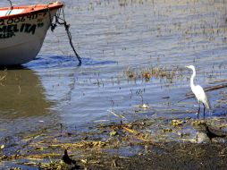 La Conagua dice que el vaso lacustre se encuentra arriba de 65% de su capacidad total. ARCHIVO  /