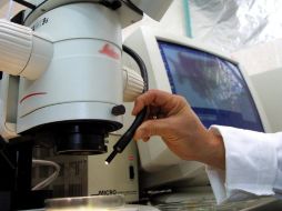 Realizaron pruebas a nivel laboratorio con moléculas-modelo del diesel. ARCHIVO  /