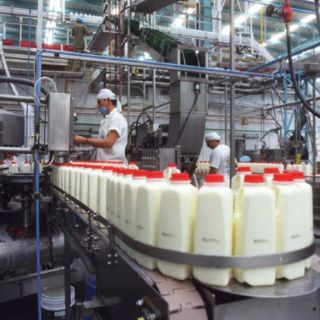 Ganaderos exigen mejor pago por leche