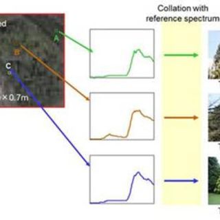 Imágenes de gran precisión permiten inspeccionar los terrenos desde el aire