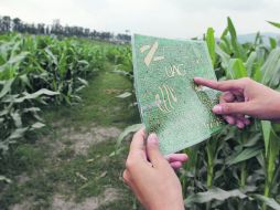 El laberinto de maíz promete ser, según su creador, César Cosío, uno de los más divertidos atractivos de la ciudad. A. HINOJOSA  /