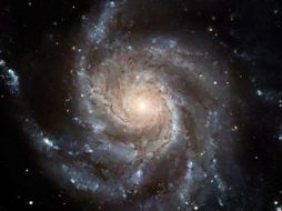 'Un pueblo educado en ciencia, es un pueblo que no se deja engañar tan fácilmente' dice el investigador Luis Corral. EFE  /