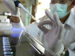 'Hay que apostarle a la ciencia si queremos sacar a este país adelante'. EFE  /