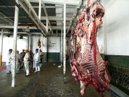 La ganadería de carne de Jalisco aporta al año unos 280 mil animales para el sacrificio. ARCHIVO.  /