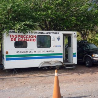 Denuncian desmantelamiento de controles sanitarios para animales