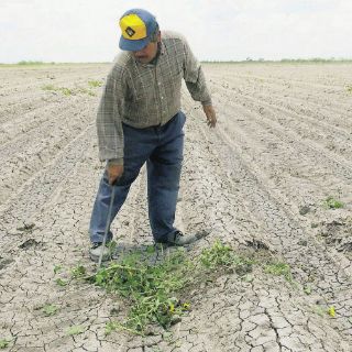 Clima extremo acaba producción en el campo
