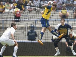 El horario habitual de los felinos es en domingo al medio día. ARCHIVO  /