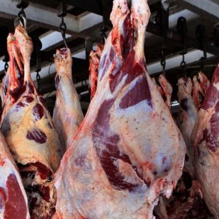 Clausuran rastro de Tequila por hallar clenbuterol