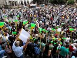 Algunos de los manifestantes llevaron además escobas verdes y amarillas para 'barrer' la corrupción. EFE  /