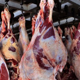 Clausuran rastro en Tequila