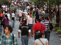 En la publicación del Índice Metropolitano de Corrupción se colocó a Guadalajara como líder en el tema. ARCHIVO  /