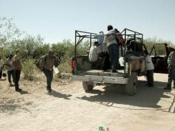 Las empresas agrícolas que son las que más buscan lso indocumentados, tendrán 3 años para acogerse a la medida. ARCHIVO  /