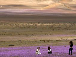 Mujeres se toman fotografías en el Desierto Florido, un fenómeno climático que se produce entre Copiapó y Vallenar (Chile). EFE  /