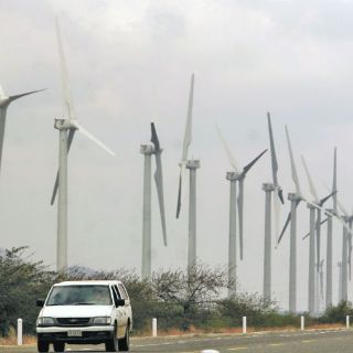 Fenosa vislumbra ocasión de producir energía eólica