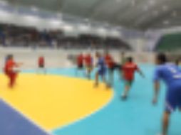 El estadio de Handball del parque San Rafael recibió a los espectadores ansiosos de ver el desempeño de la selección. EL INFORMADOR  /