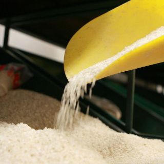 Japón detecta radiactividad en arroz cerca de planta nuclear