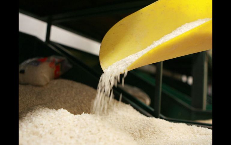 El mayor nivel previamente encontrado era de 136 bequerelios de cesio por kilogramo. ARCHIVO  /