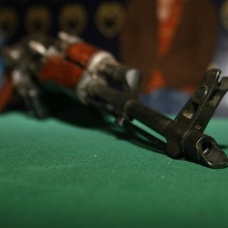 Internan en penal de Puente Grande a un halcón