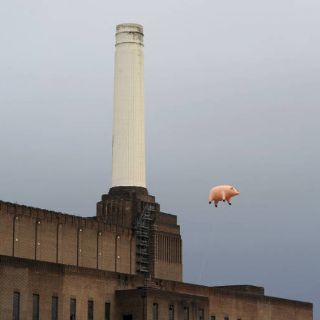 Cerdo volador recuerda álbum de Pink Floyd