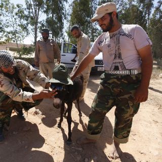 Partidarios de Gadhafi en Sirte buscan tregua