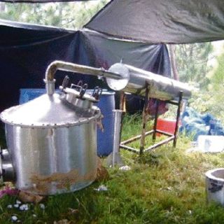 Aseguran narcolaboratorio con una tonelada de sustancias químicas