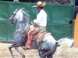 Las mejoras en las condiciones de seguridad ha traído el establecimiento de criadores y comercializadores de caballos. ARCHIVO  /
