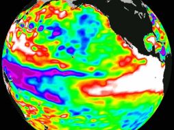 Las plantas absorben el CO2 a través de poros en sus hojas conocidos como estomas para realizar la fotosíntesis. ARCHIVO  /