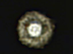 Se trata de la mejor imagen tomada hasta el momento de una de estas estrellas. EFE  /