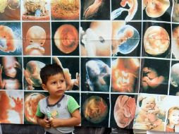 Mientras los ministros discuten las reformas a las leyes estatales, grupos de manifestantes expresan sus demandas fuera de la SCJN. EFE  /