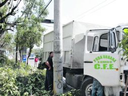 Un problema es que tampoco hay muchos técnicos ni transparencia sobre qué hacen con los árboles que retiran.  /