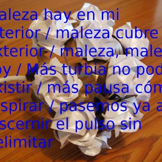 Y la lengua sigue sonando