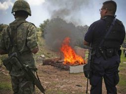 Plantas de mariguana así como litros de metanfetaminas fueron incinerados en Zapopan el día de hoy. ARCHIVO  /