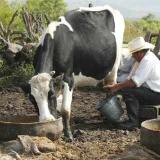 Liconsa pagará 60 centavos más a sus proveedores