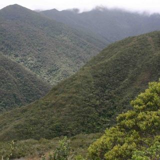 Ecuador registra una de las tasas de deforestación más altas de Latinoamérica